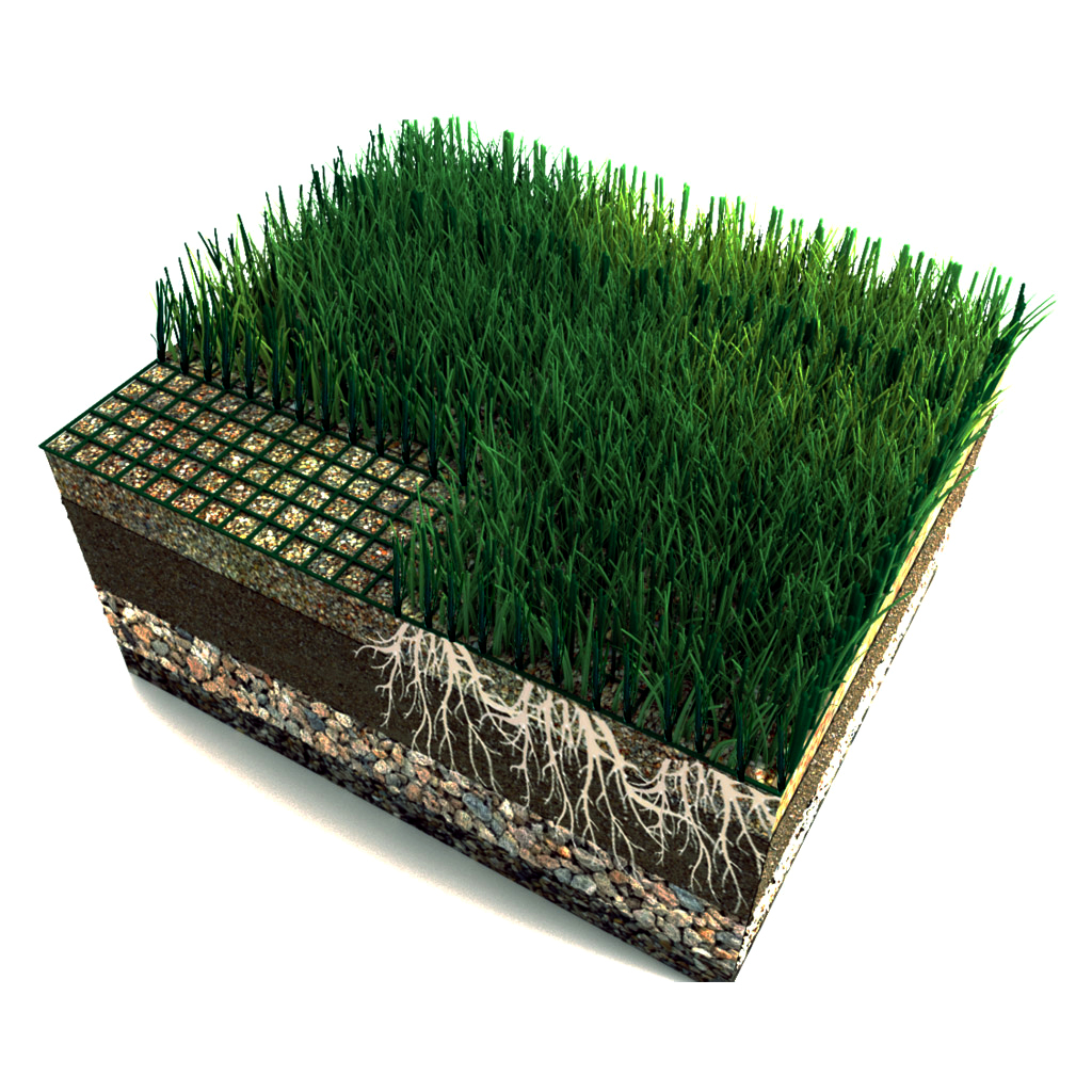 hybrid grass nw 002