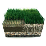 hybrid grass nw 003